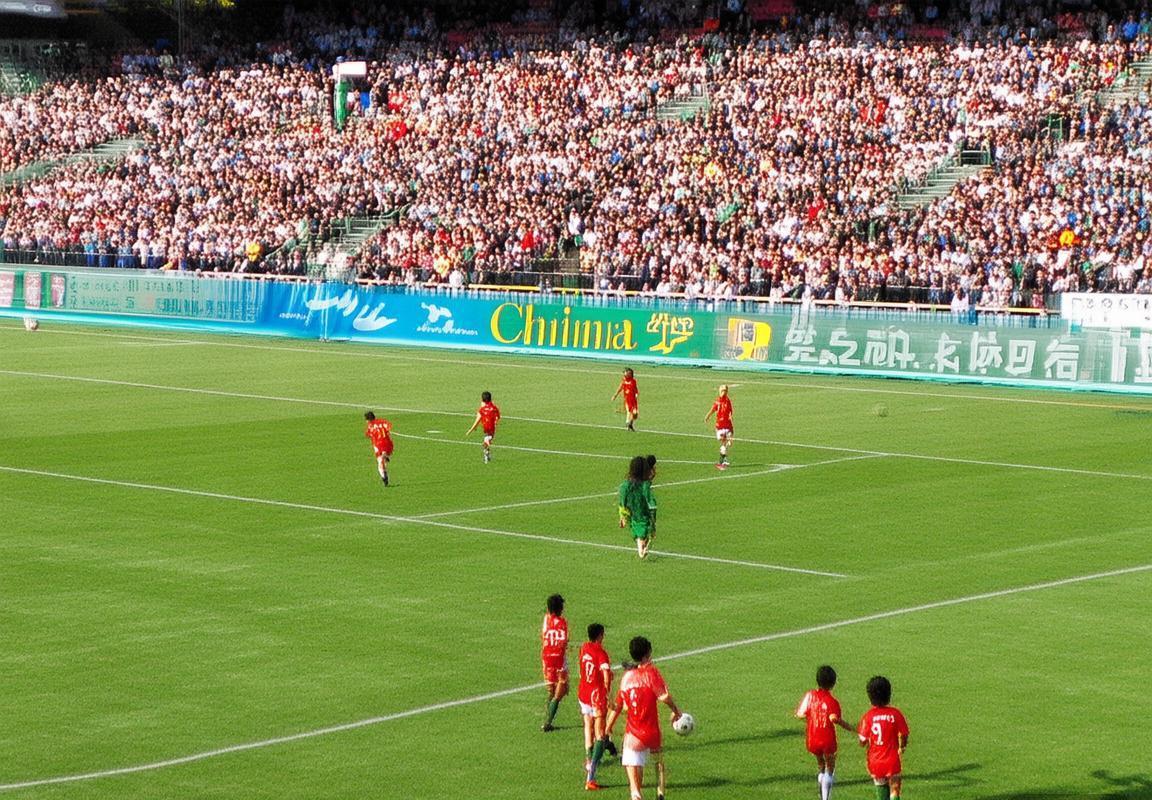 2011年中爱友谊赛：中国足球实战检验与成长历程(图1)